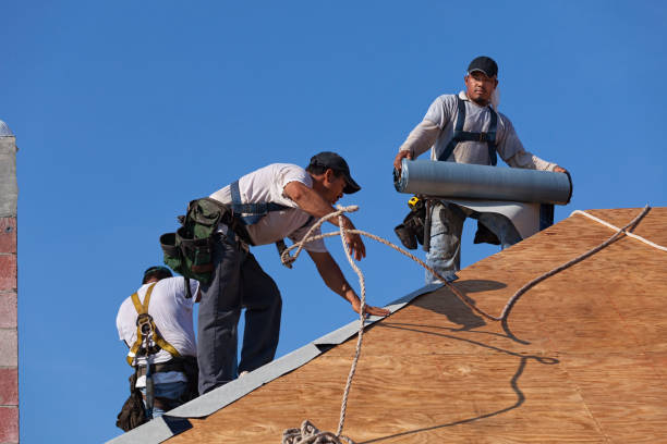 Best Roof Gutter Cleaning  in Vienna, VA