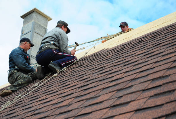 Best Emergency Roof Repair  in Vienna, VA